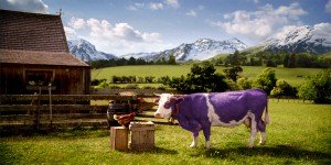 publicité lydia CHERTON