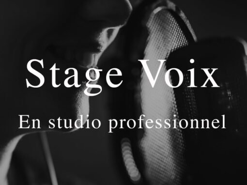 Stage voix en studio professionnel
