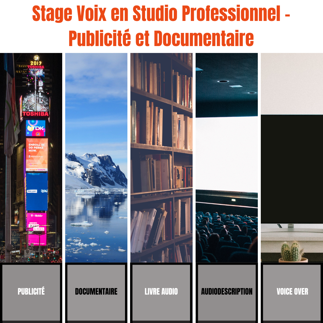 studios professionnels formation voix off