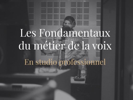 Les Fondamentaux du Métier de la Voix en Studio Professionnel Publicité et Documentaire