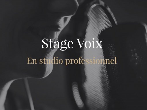 Stage voix en studio professionnel